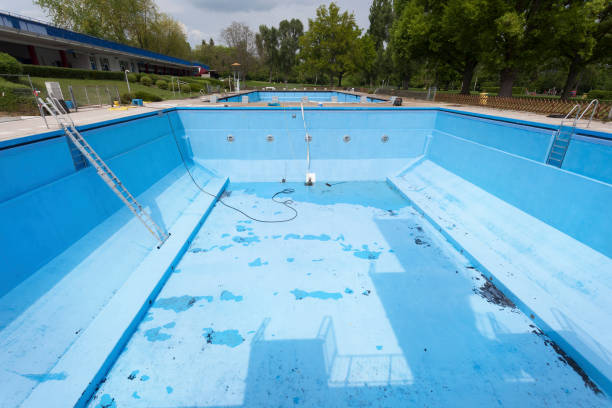 Best Water damage contractors near me  in Forest Meadows, CA