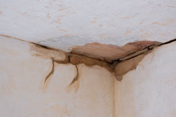 Best Sewage cleanup and water damage restoration  in Forest Meadows, CA