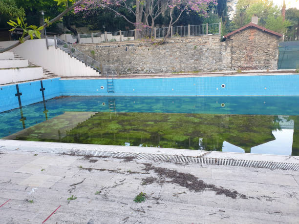 Best Flood restoration services  in Forest Meadows, CA