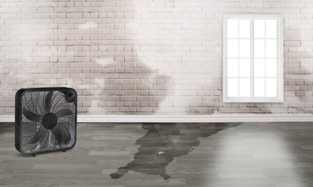  Forest Meadows, CA Water damage restoration Pros