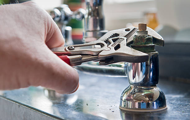 Best Local water damage restoration  in Forest Meadows, CA