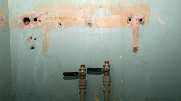 Best Flood damage cleanup  in Forest Meadows, CA