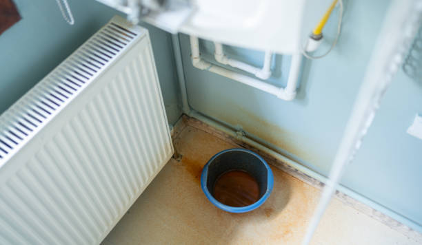Best 24-hour water damage restoration  in Forest Meadows, CA