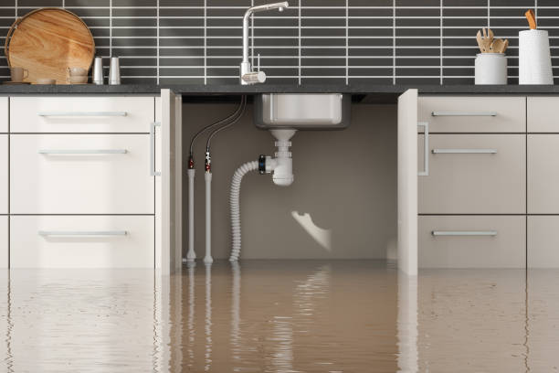 Best Water damage cleanup near me  in Forest Meadows, CA