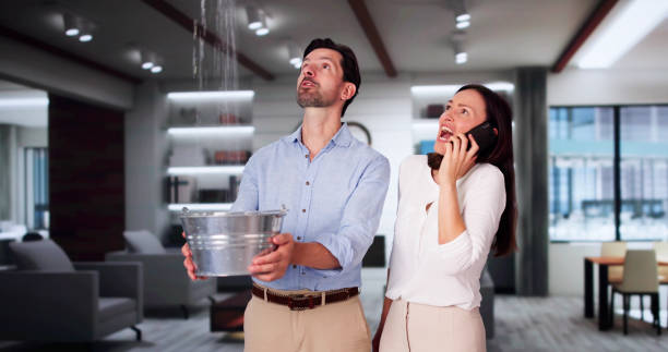 Best Basement water damage restoration  in Forest Meadows, CA